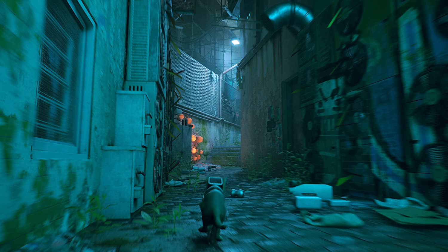 Stray Xbox One/Xbox Series X