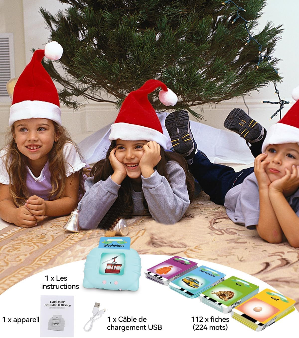 Cartes Éducatives,Flash Jouets Éducatifs Pour Jeunes Enfants De 1 À 6 Ans, Jouets Préscolaires Pour Écouter Et Apprendre 224 Mots (Bleu Français)