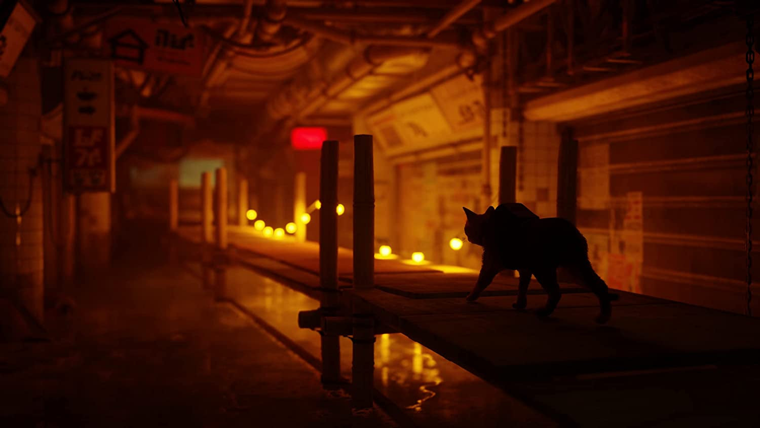 Stray Xbox One/Xbox Series X