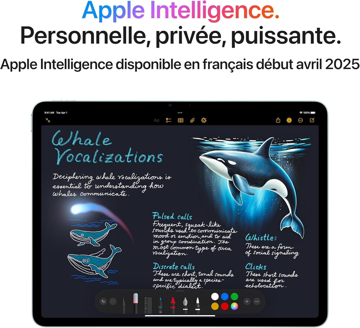 Ipad Air 13 Pouces Avec Puce M3 :  Intelligence, Écran Liquid Retina, 128 Go, Caméras Avant/Arrière 12 Mpx, Wi-Fi 6E Et Connectivité Cellulaire 5G, Touch ID – Lumière Stellaire
