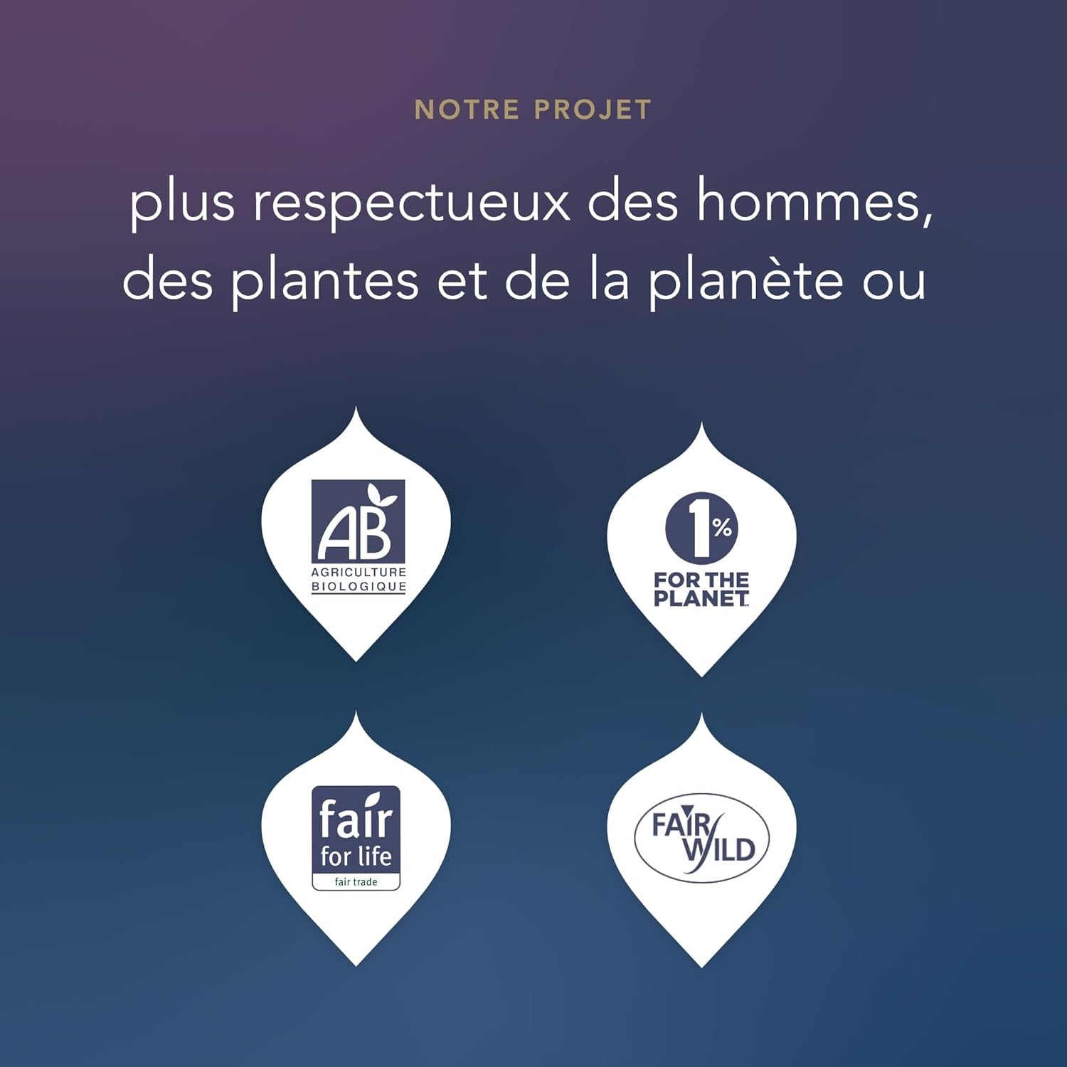 Calendrier De L'Avent Thé Vert Et Infusions 2025 | Idée Cadeau De Noel Pour Offrir Homme Et Femme | Sélection De Thés Bio | Ingrédients Biologiques | 24 Sachets De Thé