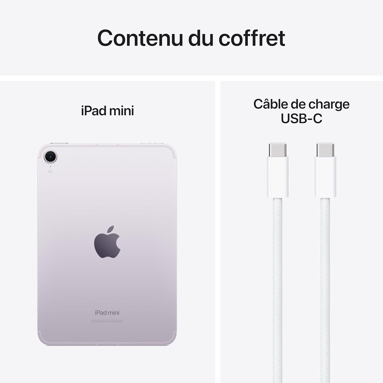Ipad Mini (A17 Pro) : Écran Liquid Retina 8,3 Pouces, 256 Go, Wi-Fi 6E Et Connectivité Cellulaire 5G, Caméras Avant/Arrière 12 Mpx, Touch ID, Autonomie D’Une Journée - Mauve