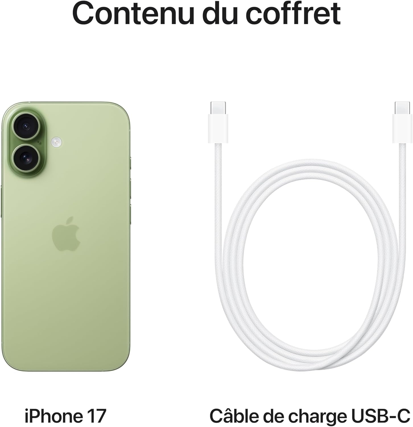 Iphone 17 256 Go : Écran 6,3 Pouces Avec Promotion, Puce A19, Caméra Avant Center Stage, Meilleure Résistance Aux Rayures, Autonomie D’Une Journée ; Sauge