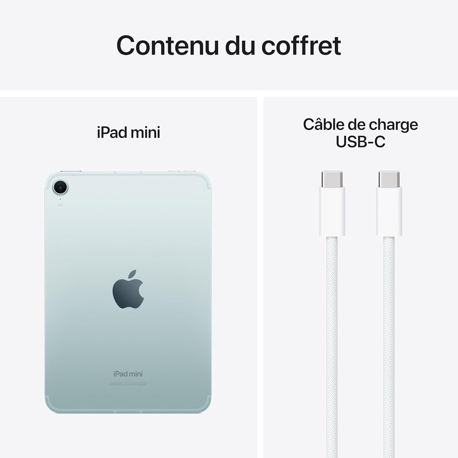 Ipad Mini (A17 Pro) : Écran Liquid Retina 8,3 Pouces, 256 Go, Wi-Fi 6E Et Connectivité Cellulaire 5G, Caméras Avant/Arrière 12 Mpx, Touch ID, Autonomie D’Une Journée - Bleu