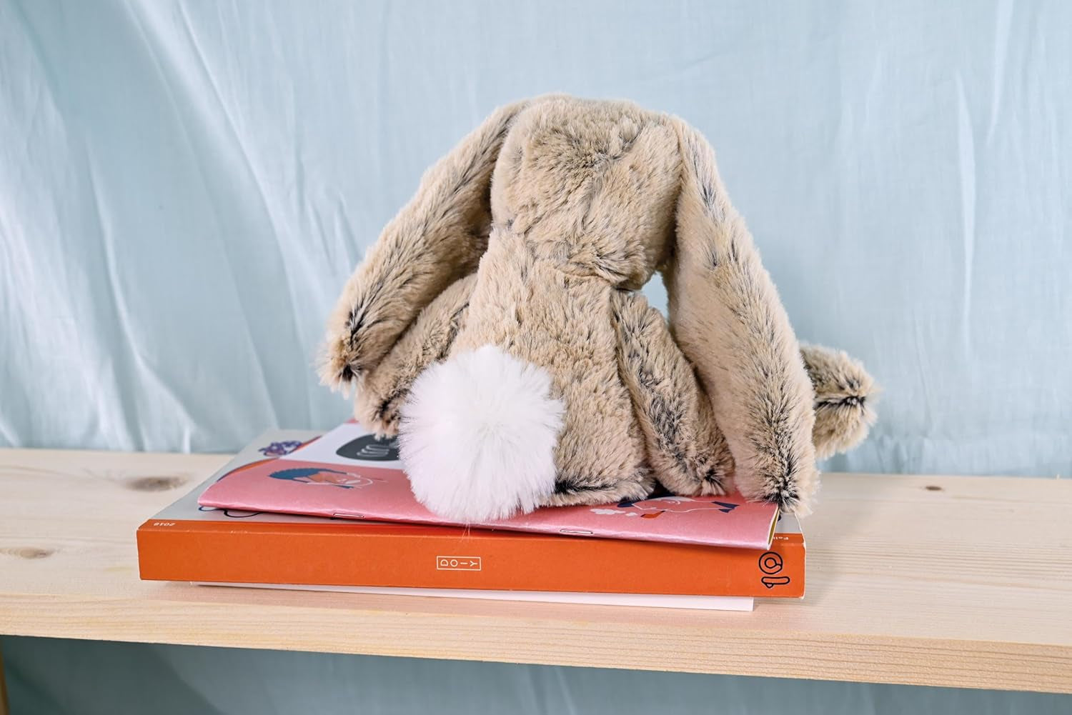 - Peluche Lapin - Boite Cadeau - Beige - 25 Cm - Douce Et Mignonne - Idée Cadeau De Naissance Et Anniversaire Fille Et Garçon - HO2430