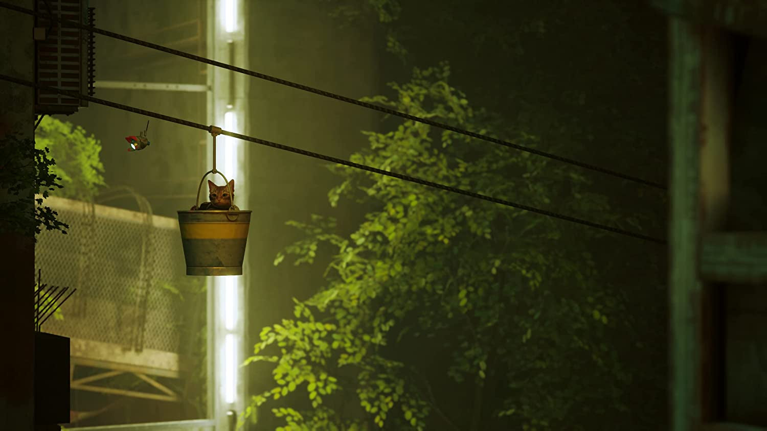 Stray Xbox One/Xbox Series X